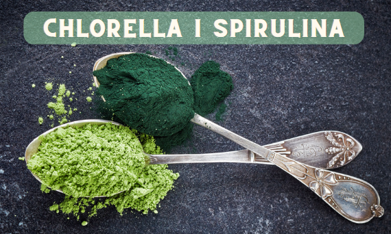 Wat is het verschil tussen spirulina en chlorella